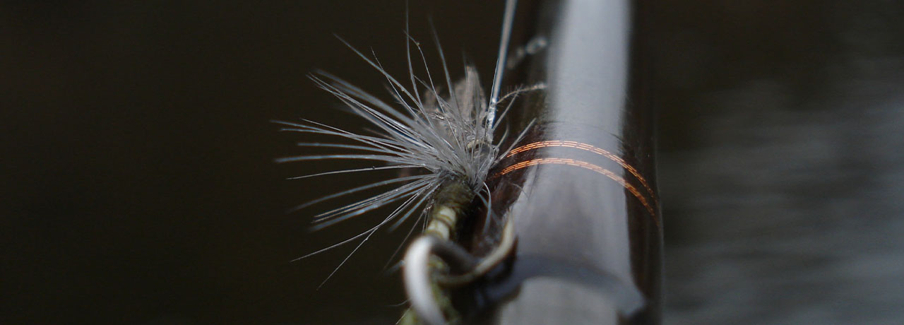 Perhokalastus Perhokalastus