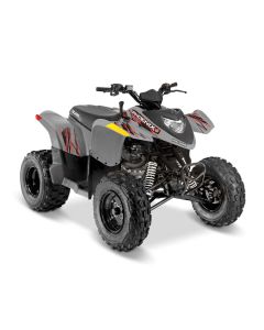 Polaris Phoenix 200