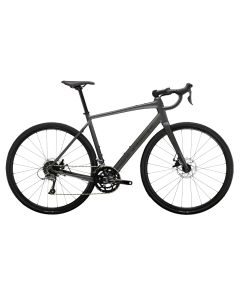 Trek Domane AL 2 Gen 4 Grey Maantiepyörä