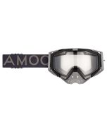 AMOQ Aster Ajolasit Kirkas