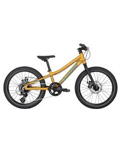 Crescent Rask R80 20" 8v lastenpyörä