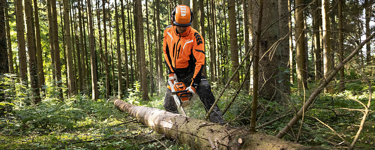 Suuri Metsäpäivä