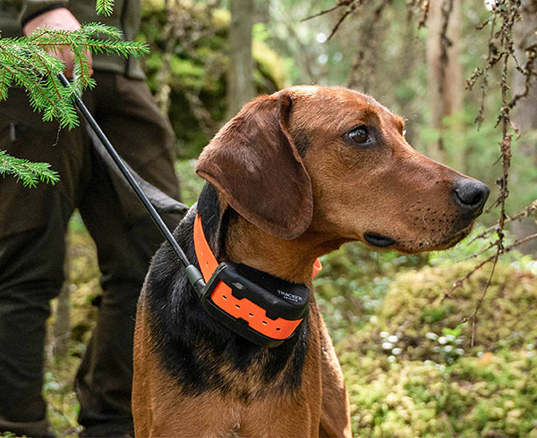 Tracker Artemis