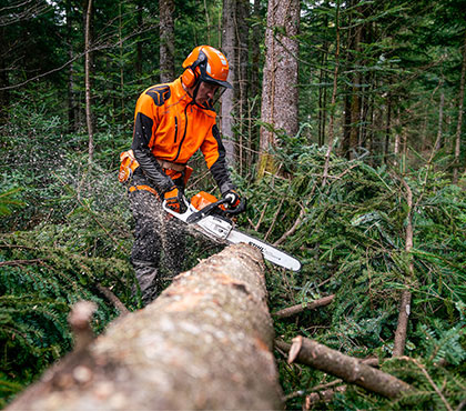 Suuri Mets&auml;p&auml;iv&auml;