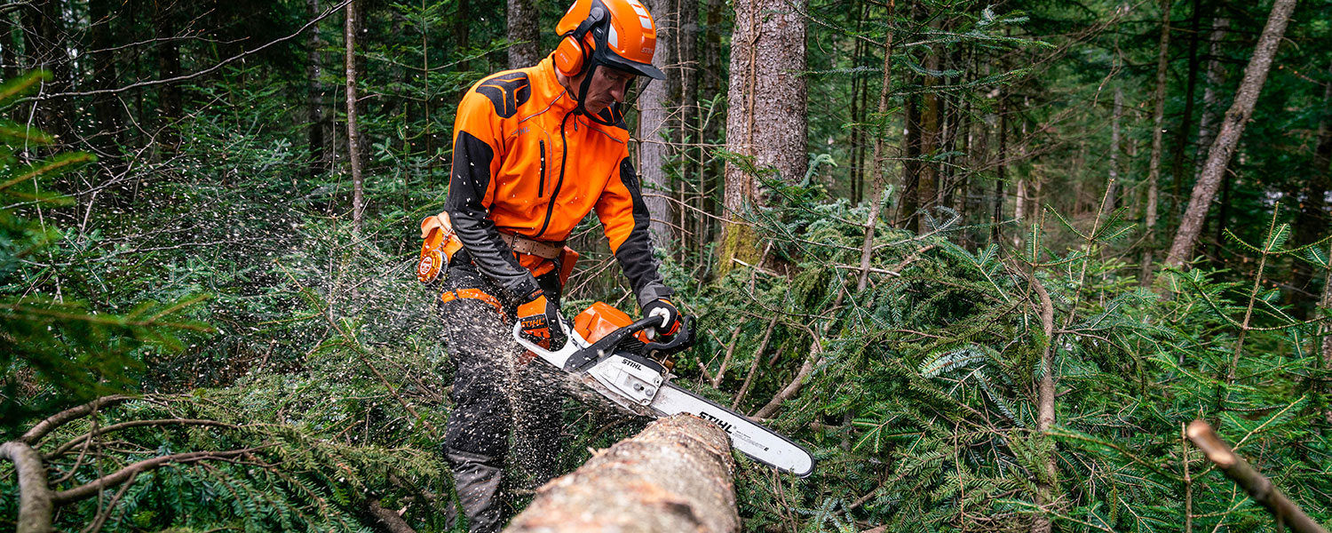 Suuri Mets&auml;p&auml;iv&auml;