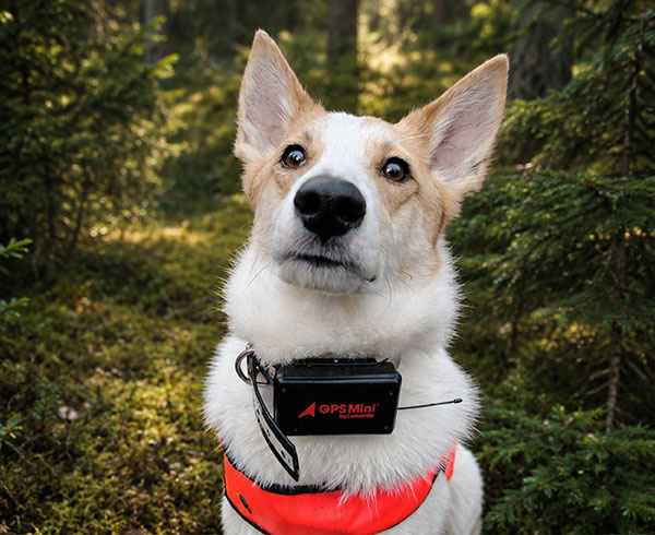 Lafayette GPS Mini