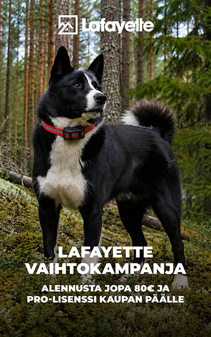 Hyödynnä Lafayetten vaihtokampanja.